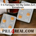 5Gm Kamagra 100Mg Oral Jelly 25